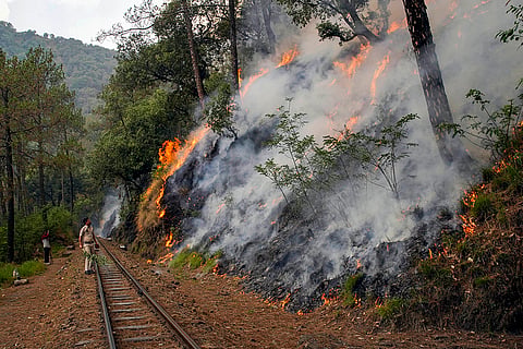 Fire in Taradevi forest area